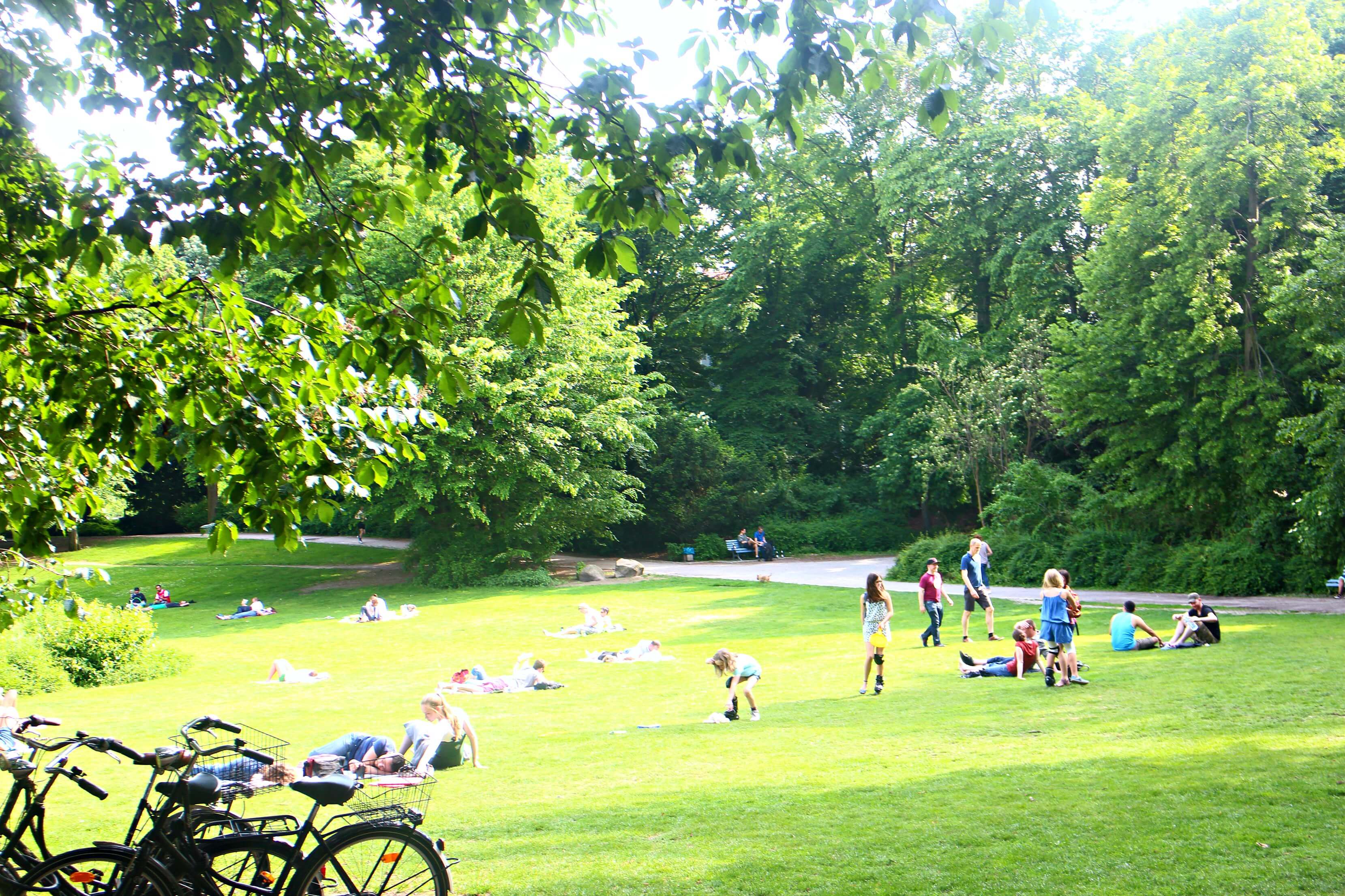 park-volkspark-wilmersdorf-berlijn
