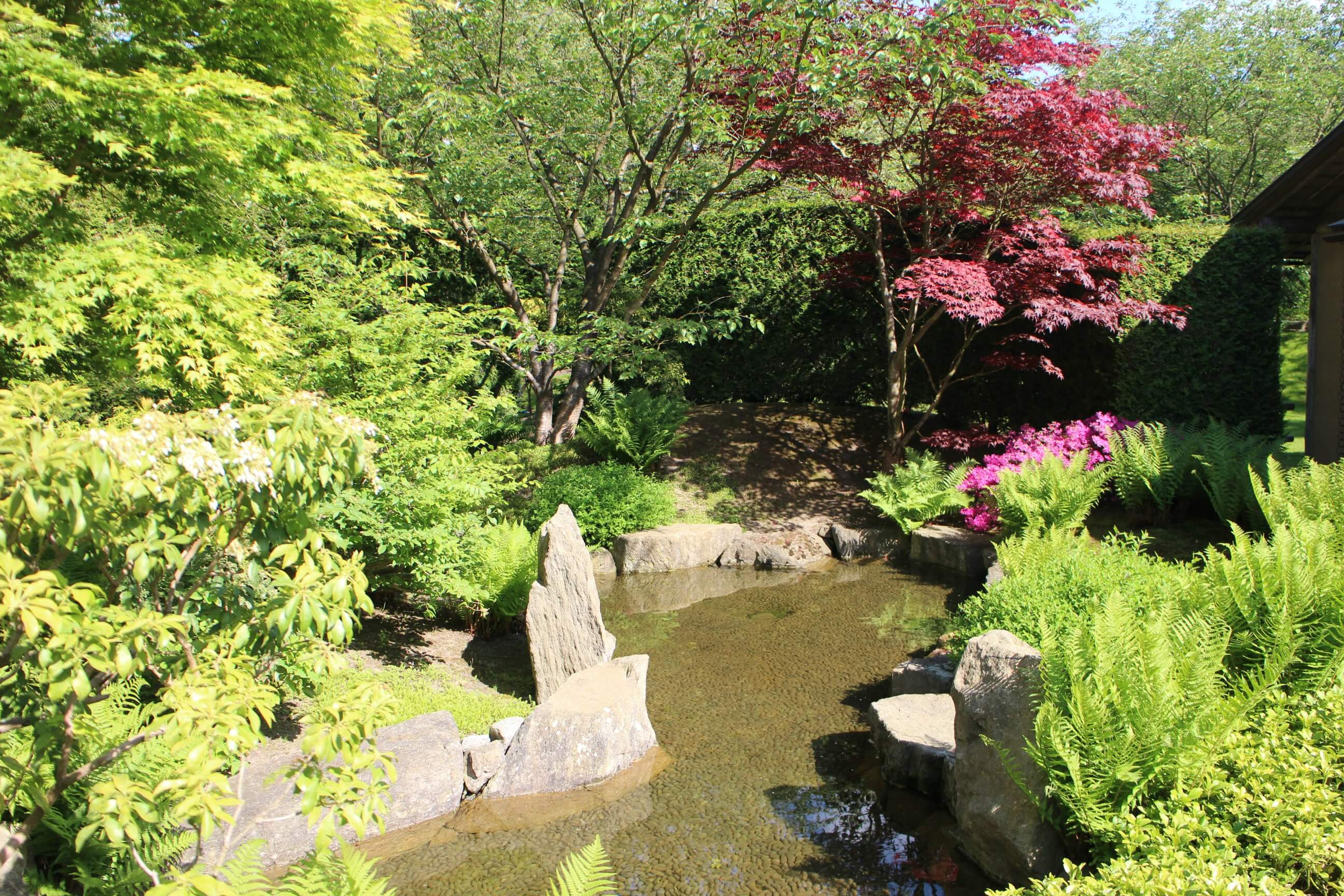 Japanse tuin Berlijn